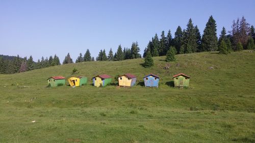 Hay bales on field against clear sky