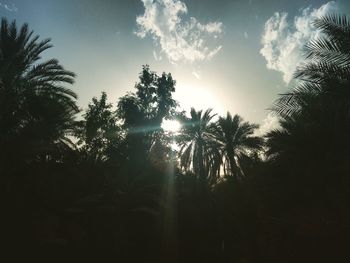 Low angle view of silhouette trees against sky during sunset
