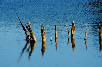 Scenic view of lake