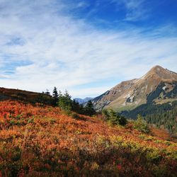 Scenic view of landscape and mountains against sky