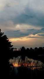 Silhouette trees on landscape against sky at sunset