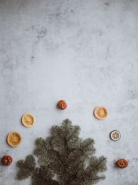 High angle view of fruits on table