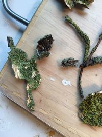 High angle view of chopped vegetables on table