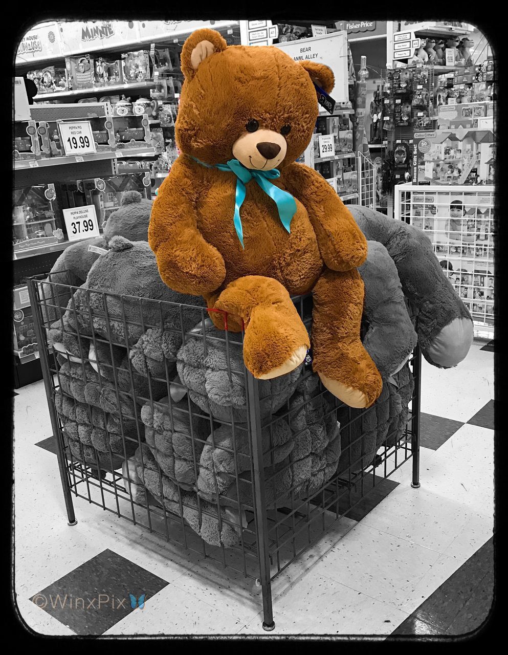 teddy bear, stuffed toy, no people, technology, day