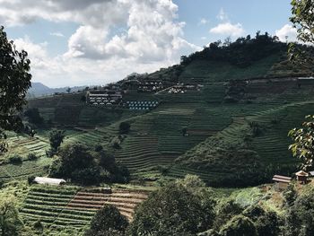 Panoramic view of agricultural field against sky