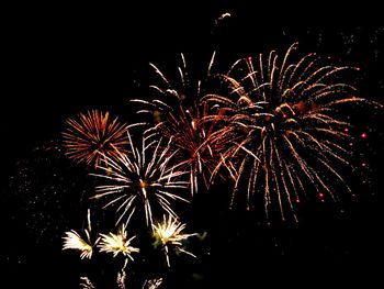 Low angle view of firework display at night