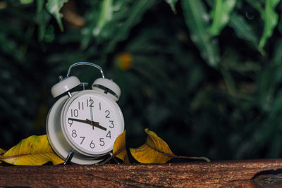 Close-up of alarm clock on wood during autumn