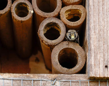 Close-up of rusty metal