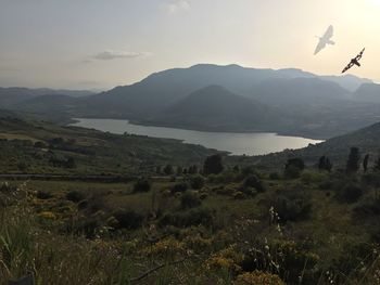 Scenic view of landscape against sky