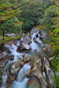 Stream flowing through rocks in forest