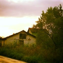 Houses on field against sky