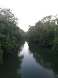 Scenic view of river in forest against clear sky