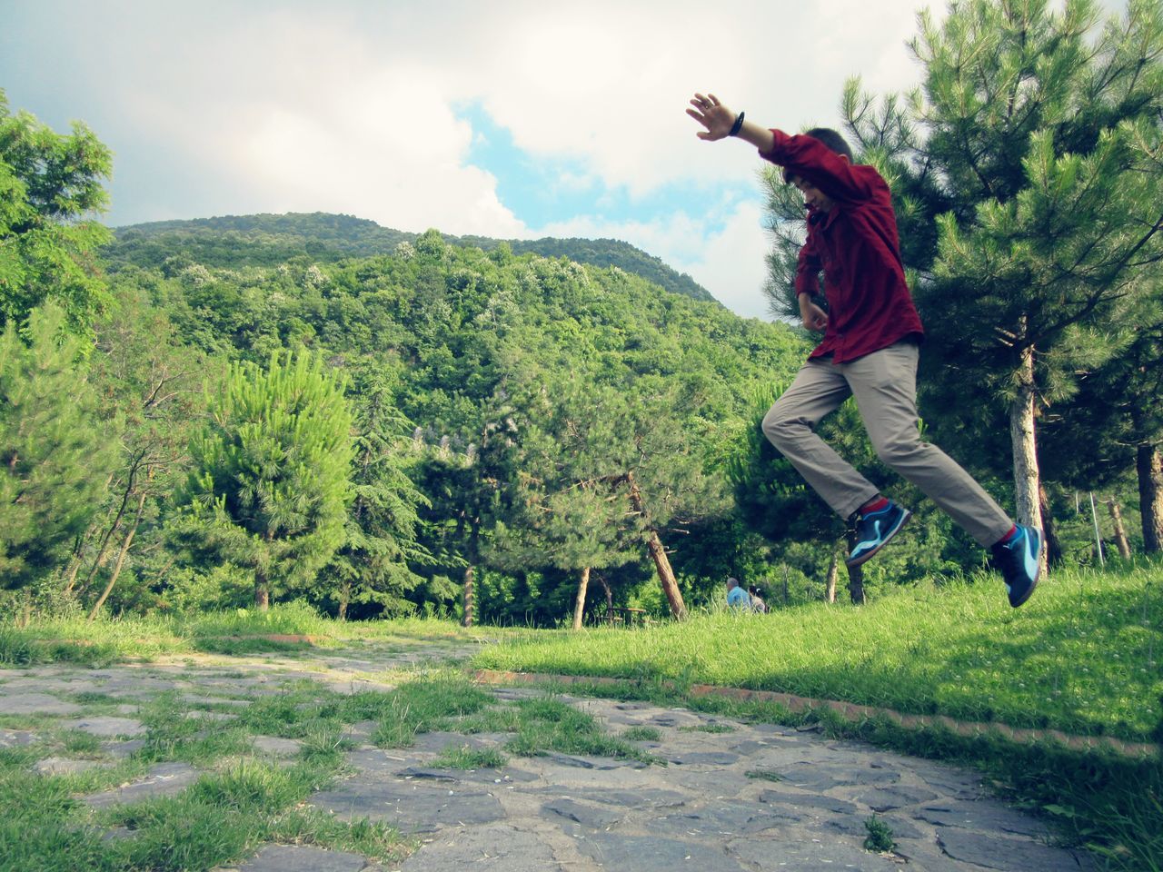 full length, lifestyles, leisure activity, sky, tree, casual clothing, rear view, men, green color, grass, standing, cloud - sky, mountain, person, nature, growth, landscape, backpack