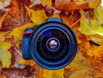 Close-up of yellow camera on leaves during autumn