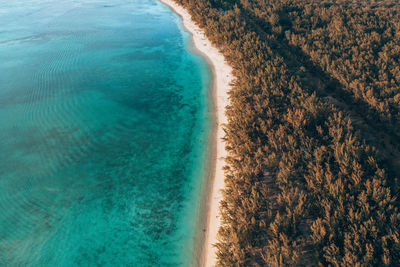 Aerial view of beach