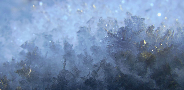 Close-up of snow