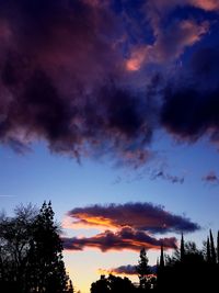 Low angle view of silhouette trees against dramatic sky