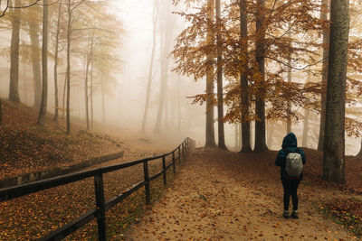 Rear view of woman walking in forest