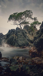 Scenic view of rocks and trees against sky