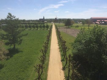 View of field with trees in background