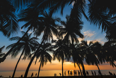 Silhouette palm trees on beach against sky during sunset