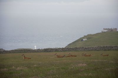 Scenic view of landscape and sea against sky