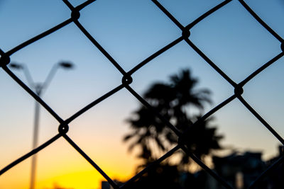 Grid silhouette, wire, trees and pole against yellow and blue sunset. 