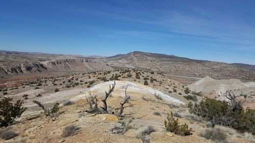 Scenic view of landscape against clear sky