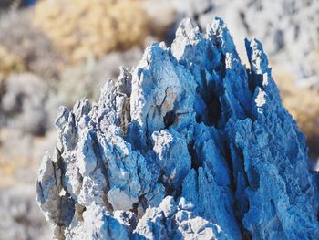 Close-up of snow on rock