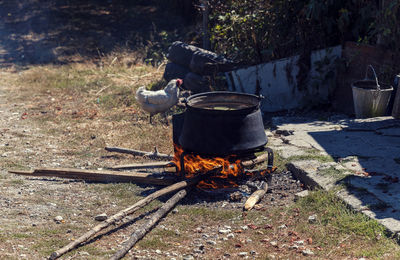 High angle view of fire on barbecue grill