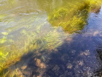 High angle view of sea shore