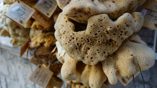 High angle view of bread for sale at market