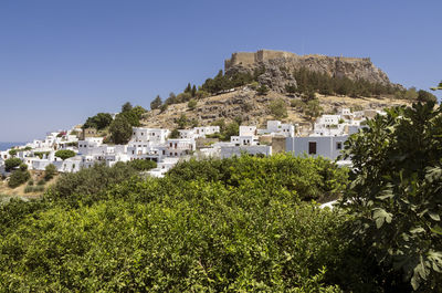 Trees and townscape against clear sky