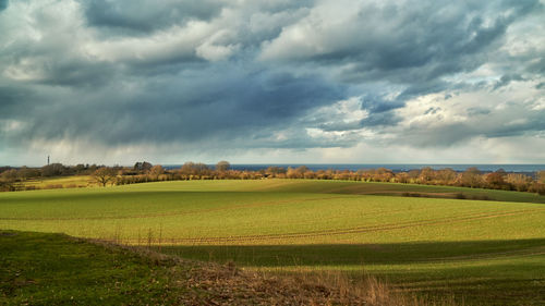 Scenic view of agricultural field against sky