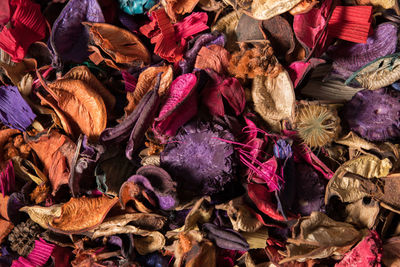 Full frame shot of dry leaves