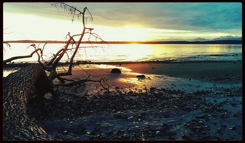 Scenic view of sea at sunset