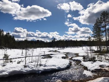 Scenic view of snow covered forest against sky