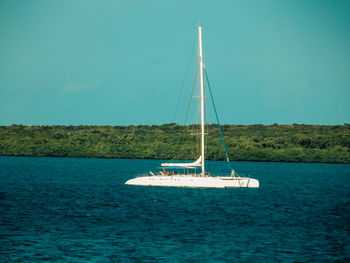 Sailboat sailing on sea against sky