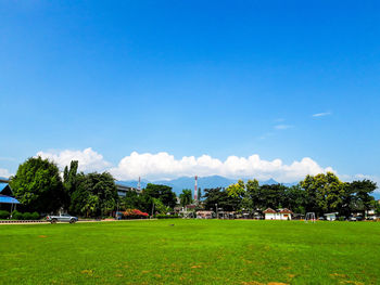 Scenic view of grassy field against blue sky