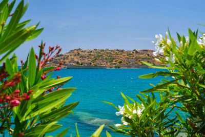 Scenic view of sea against clear sky