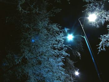 Low angle view of trees against sky at night