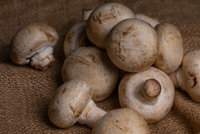 Close-up of mushrooms on table