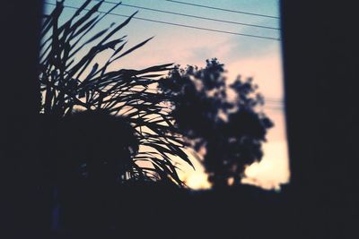 Silhouette of palm tree against sky at sunset
