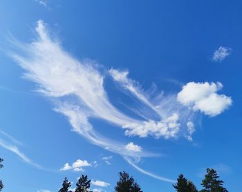 Low angle view of trees against blue sky