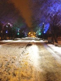 Illuminated trees against sky at night