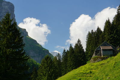 Panoramic view of trees and mountains against sky