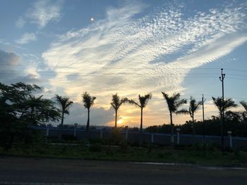 Silhouette trees on field by road against sky during sunset