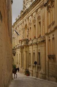 People walking in front of historical building