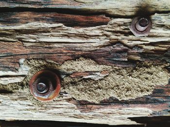 Close-up of rusty metal