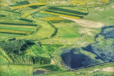 Full frame shot of agricultural field